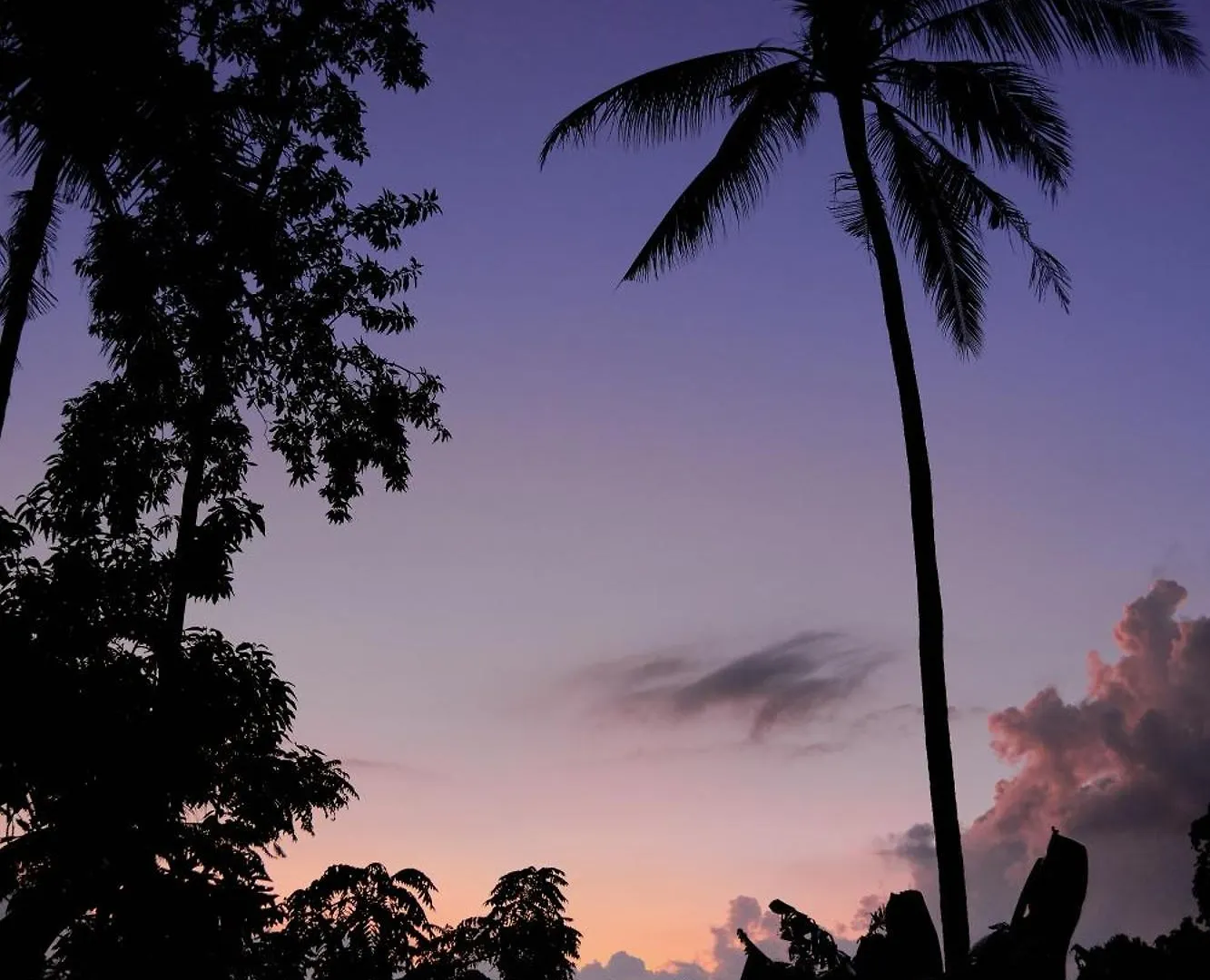 Ray Guest House Ubud  Indonesia